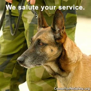 051815-military_dog-text